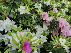 -杭州城北体育公园