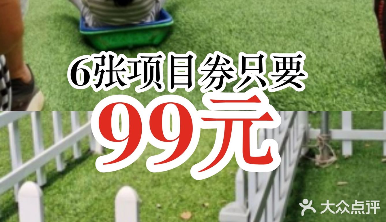 6张项目券只要99元