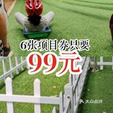 6张项目券只要99元
