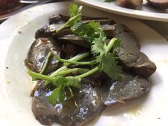 -乌文新澄海卤鹅店