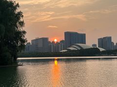 -天鹅湖体育公园