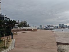 -台场海滨公园船码头