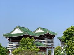 -王借岗森林公园