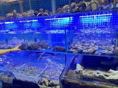 -东海章鱼馆(恒瑞街店)