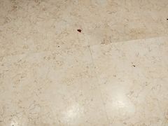 -特味村大酒店(南三环店)