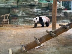 -西霞口神雕山野生动物世界