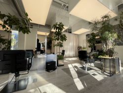 -Hair  Gallery