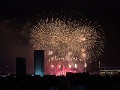 -广州白天鹅宾馆