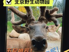 -北京野生动物园