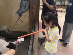 -北戴河集发农业梦想王国