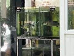 -凯盈阁·顺德私房菜·桑拿鸡