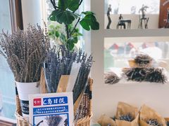 -莫内艺术岛海景咖啡