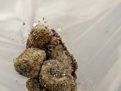 -叶氏麻糍(鼓浪屿店)