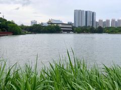 -五缘湾湿地公园