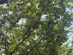 -苏州河梦清园环保主题公园