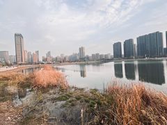 -金沙湖公园
