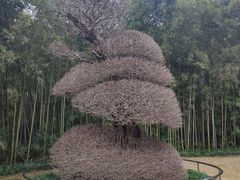 -苏州河梦清园环保主题公园