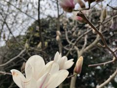-南溪山景区