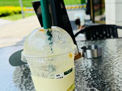 -茉酸奶(高科山姆店)