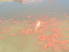 -南通洲际绿博园