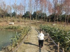 -嬉乐湾休闲旅游区