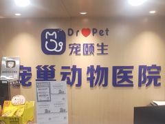 -宠颐生宠物医院·异宠猫科内科·诊疗中心宠巢店
