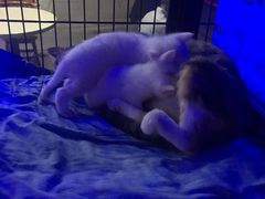 -赢吧Bliss音乐酒吧