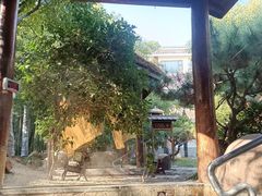 -观唐（国际）度假村温泉