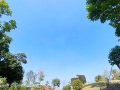 -东莞植物园
