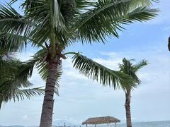 -玫瑰海岸文化旅游度假区