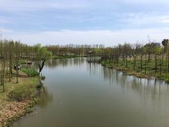 -上海长兴岛郊野公园