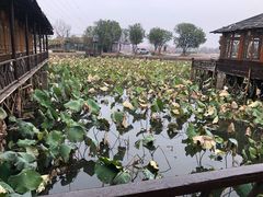 -军山湖云水间生态农业旅游景区