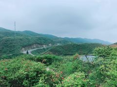 -大围山国家森林公园