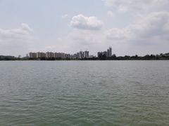 -鹤之洲湿地公园