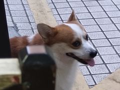 -小梁哥云吞面(黄贝岭店)