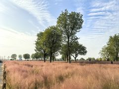 -汉长安城未央宫国家考古遗址公园