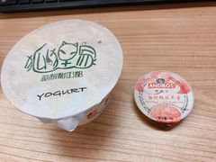 -狐狸家·酸奶酪专门店(平江路店)