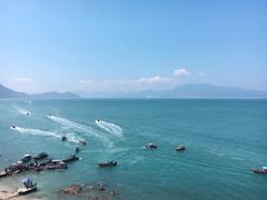 -杨梅坑