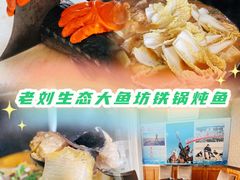 -老刘生态大鱼坊铁锅炖鱼(赛马场店)