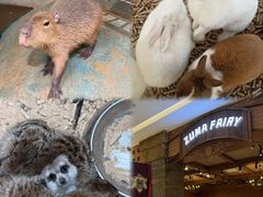 -天河城购物中心