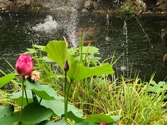-金典银峰老鹅馆·昆山菜(亭林公园店)