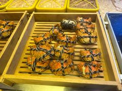 -美盛喜来登大酒店-盛宴标帜餐厅