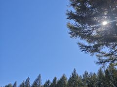 -塞罕坝国家级自然保护区