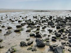 -北海金海湾红树林生态旅游区