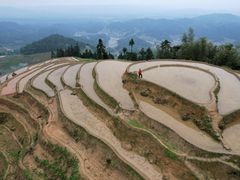 -紫鹊界梯田景区