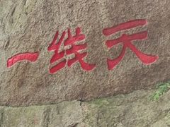-六里坪国家森林公园