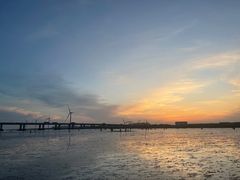-南汇新城海滩