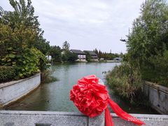 -洪泽湖古堰景区
