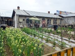 -北极村旅游风景区