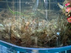 -儒林第·家常菜(科学大道店)